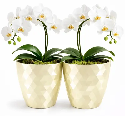 Image de Lot de 2 pots de fleurs décoratifs en plastique - 30 cm