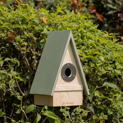 Immagine prodotto di Casetta in legno per uccelli da giardino - Piccola cassetta nido per piccoli uccelli: pettirosso, storno e cinciallegra