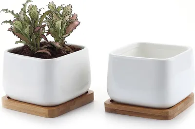 Immagine prodotto di Set di vasi per piante succulente - Vaso in Vetroceramica - 2 pezzi - Bianco - Con sottovaso