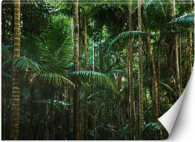 Produktbild von Vlies fototapete Regenwald natur 200x140 cm Feeby Grün inkl. Kleber einfache Montage