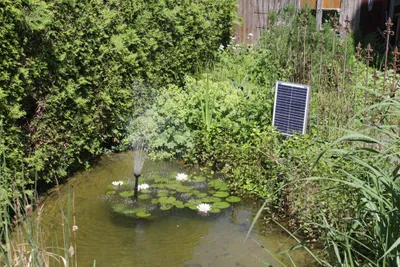 Produktbild von Solarmodul 5W Solarpanel Solarzelle 12V P5 mit Kabel