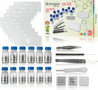 A collection of science experiment supplies for children, including slides, vials, and tools, arranged on a white background.