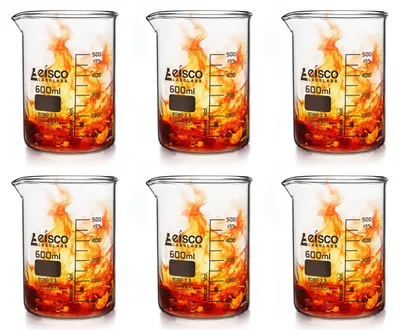 6er-Set Becher aus Borosilikatglas, 50 ml Skalierung