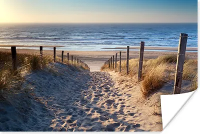 Produktbild von MuchoWow® Poster Strand - Meer - Niederlande - Dünen - Sonne 180x120 cm - Fotoplakat