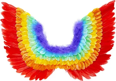 Immagine prodotto di Ali di piume arcobaleno 60 x 40 cm - ali di piume - carnevale e feste a tema
