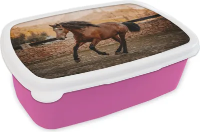 Produktbild von KitchenYeah® Lunchbox Brotzeit Brotdose 17x11 cm Pferd - Braun - Stein Kinder Brotzeitdose - Lunchpaket - Brotkasten  - Sandwich Box