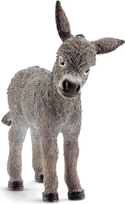 Produktbild von Schleich Farm World - Esel, Figur für Kinder ab 3 Jahren