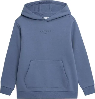 Produktbild von 4F Sweatshirts JBLD003, HJZ22JBLD00332S, Größe: 134