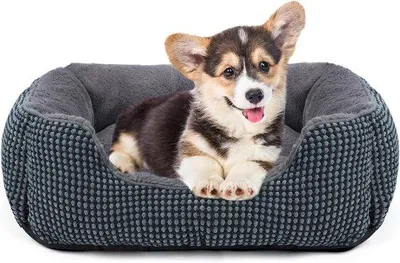 Immagine prodotto di Cuccia morbida per cani di piccola taglia, antiscivolo Comfort