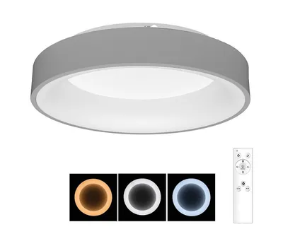 Immagine prodotto di Brilagi - Plafoniera LED dimmerabile FALCON LED/40W/230V 3000-6500K grigio + telecomando