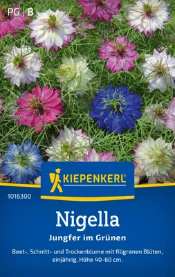 Produktbild von Kiepenkerl Nigellasamen Jungfer im Grünen Nigella damascena 70 Pflanzen