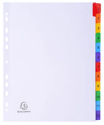 Immagine prodotto di Exacompta Registro DIN A4, 12 fogli, cartoncino da 160 g