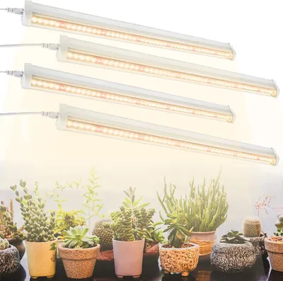Four LED grow lights are shown above a collection of potted succulents and other small plants.