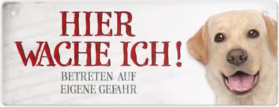 Produktbild von Metallschild mit Labrador Motiv und Spruch: Betreten auf eigene Gefahr ...
