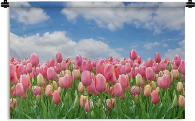 Produktbild von MuchoWow® Wandteppich Wandbehang Farben - Tulpen - Frühling 60x40 cm Tapisserie Dekoration Wandtuch - Wanddekorationen