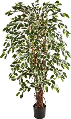 Produktbild von aplanta Künstlicher Ficus – Ravian | 120 cm, Echtholzstamm, für drinnen, Kunstbaum, wie echt, Allergiker geeignet, pflanzliche Dekoration Praxis, Office & Wohnzimmer