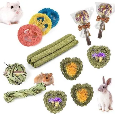Productafbeelding van Kauwspeeltjes voor Konijnen, 16 Stuks Natuurlijk Timothy Hooi Kauwspeeltje, Verbeter de Tandgezondheid voor Konijn/Chinchilla/Cavia/Hamsters/Holland Hangoor, Traktaties voor Cavia's