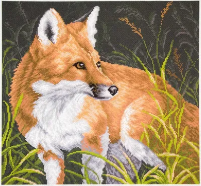 Produktbild von CdA Bedrucktes Aida für Kreuzstickerei "Fuchs" PA1037, 34 x 34cm