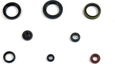 Obrázek produktu pro Athena Motor Dichtring Kit Kit P400510400095