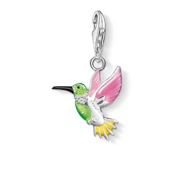 Immagine prodotto di Ciondolo con colibrì colorato