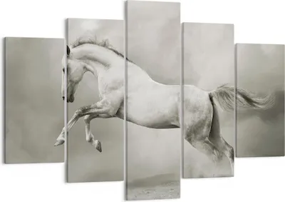 Produktbild von Bild auf Leinwand - Leinwandbild - Pferd Tier - 150x100cm - Wand Bild - Wanddeko - Wandbilder - Leinwanddruck - Bilder - Kunstdruck - Wanddekoration - Leinwand bilder - Wandkunst - EA150x100-3542