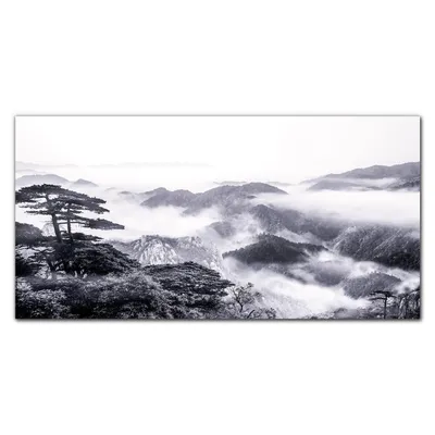 Produktbild von Coloray Küchenrückwand 100x50 Spritzschutz aus Glas - Bergnebelwald