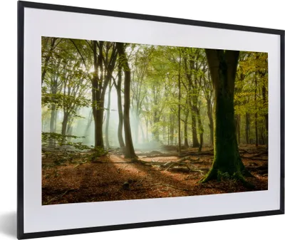 Produktbild von MuchoWow® Gerahmtes Poster Wald - Sonne - Jahreszeiten - Landschaft 60x40 cm - Poster mit Schwarzem Bilderrahmen Wandposter Rahmen Foto Bilder - Schlafzimmer - Plakat in Rahmen - Drucken
