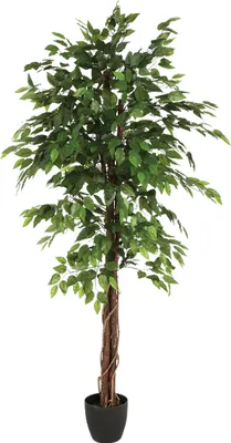 Obrázek produktu pro Vysoký umělý fíkus s květináčem, dvoubarevný, výška 180 cm