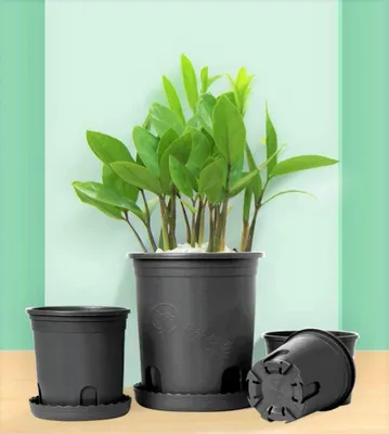Produktbild von Kunststoff-Blumentöpfe - 10 Stück, 19,5 cm - Innenpflanzencontainer, Gartenpot - Schwarz