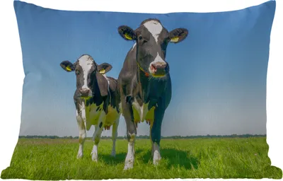 Produktbild von MuchoWow® Outdoor Kissen - Kühe - Weide - Tiere - Bauernhof - 60x40 cm - Wetterfest - Lounge Kissen - Zierkissen - Kissen für Innenräume