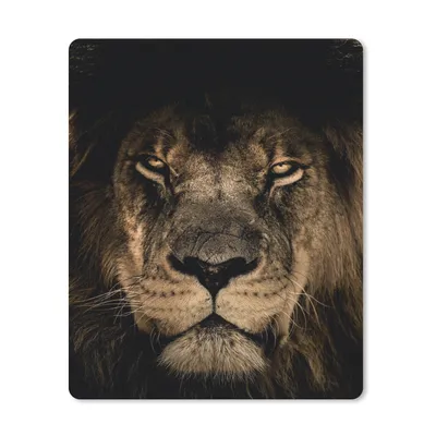 Produktbild von MuchoWow® Mauspad Mousepad Löwe - Tiere - Schwarz - Porträt 19x23 cm - Mousepads - Maus Mat - Pad - Mausunterlage - Mauspads - Spielen