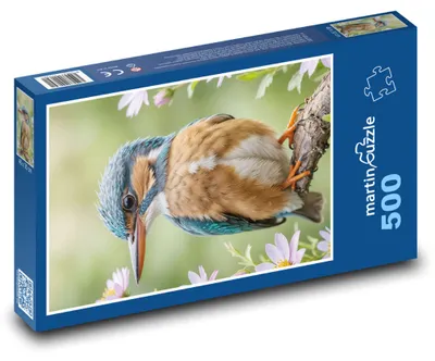 Zdjęcie produktu dla martinpuzzle - Puzzle 500 elementów - Ledňáček