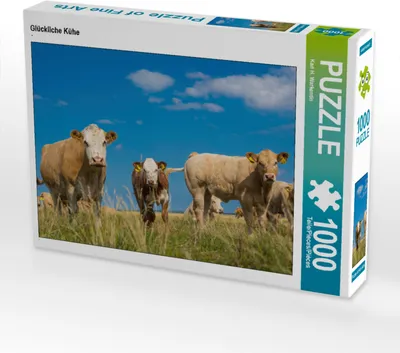 Produktbild von CALVENDO Puzzle Glückliche Kühe | 1000 Teile Lege-Größe 64x48cm Foto-Puzzle für glückliche Stunden