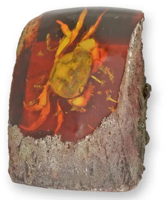 Produktbild von Künstliches Bernstein-Fossil Krebs Krabbe Replikat Retro Design Dekoration
