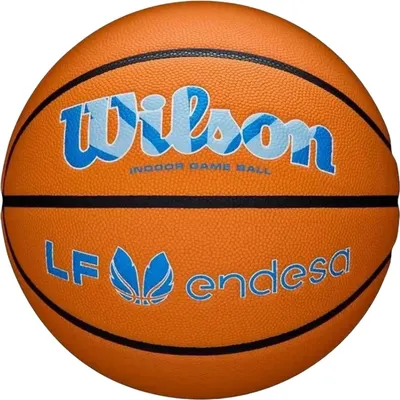 Zdjęcie produktu dla Piłka do koszykówki Wilson Evo Nxt Lf Endesa Wielokolorowa