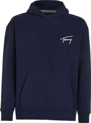 Immagine prodotto di Felpa Tommy Hilfiger DM0DM21259P01 da Uomo