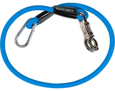 Produktbild von Kentucky Krawattenführer Blau 120 cm Blau 120 cm