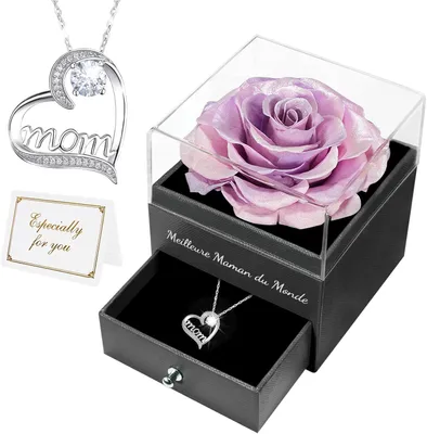 Productafbeelding van Eeuwige roos met ketting, Moederdag cadeau, echte geconserveerde roos, geschenkdoos, voor moeder