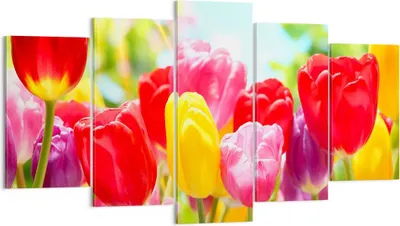 Produktbild von Bild auf Leinwand - Leinwandbild - Tulpe Blume Garten Plantage - 160x85cm - Wand Bild - Wanddeko - Leinwanddruck - Bilder - Kunstdruck - Wanddekoration - Leinwand bilder - Wandkunst - EA160x85-2466