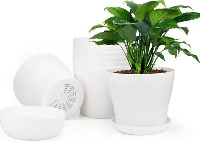 Produktbild von Famanu Blumentöpfe Set 8 Stück - Weiß mit Untersetzer, 10,2 cm