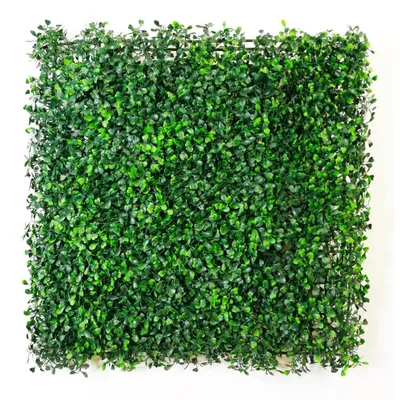 Immagine prodotto di PANNELLO SIEPE ARTIFICIALE BP11 - 50X50cm sintetica