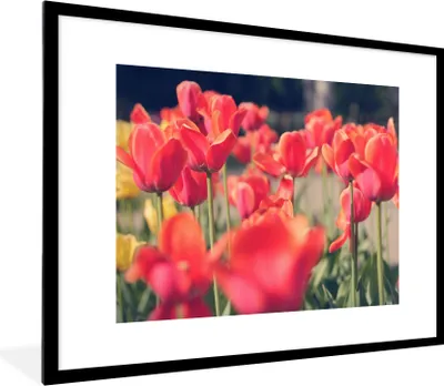 Produktbild von MuchoWow® Gerahmtes Poster Tulpen - Blumen - Natur 80x60 cm - Poster mit Schwarzem Bilderrahmen Wandposter Rahmen Foto Bilder - Schlafzimmer-Dekorationen - Fotoposter