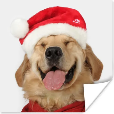 Produktbild von MuchoWow® Poster Hund - Lustig - Lachen - Kinder - Jungen - Mädchen 75x75 cm - Wand Dekoration