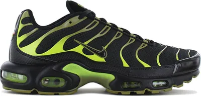 Produktbild von Nike Air Max Plus TN - Pacific Moss - Herren Sneakers Schuhe Schwarz DM0032-010 , EU 44 US 10