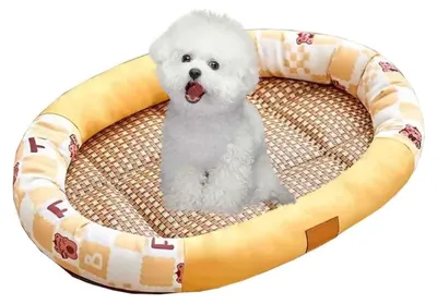 Immagine prodotto di Cuccia per cani resistente e antigraffio