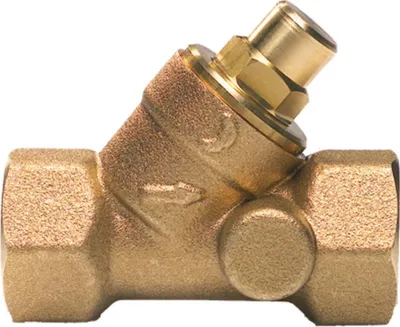 Produktbild von BWT Mondseer Fig. 3506 1", Rückflussverhinderer, HACCP*, 1 Stk.