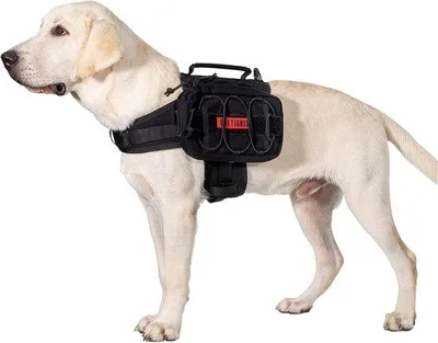 Image de Sac à dos pour chien, noir, taille moyenne, randonnée