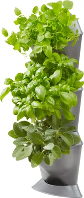 Produktbild von Gardena Set Natureup! Eckpflanzer Grün  Grün One Size