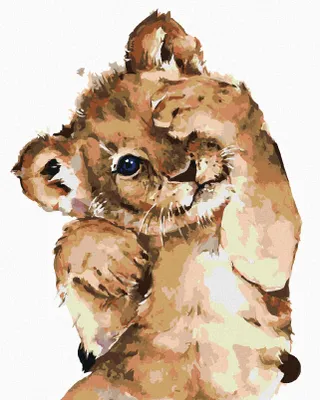 Produktbild von Zuty - Malen nach Zahlen - SCHÜCHTERNES LÖWENBABY, 40x50 cm, mit Keilrahmen (bereits gespannt)