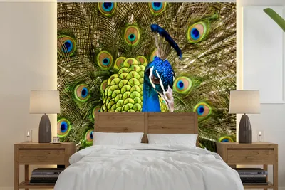Produktbild von MuchoWow® Fototapete für Wohnzimmer oder Schlafzimmer Wandtapete Vinyl Motivtapete Pfau - Federn - Schnabel - 300x300 cm - Wanddekoration